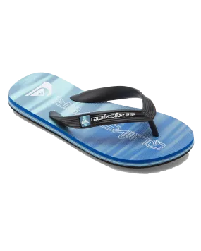 Boys Molokai Art II Flip Flops in Blue 2