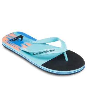 Molokai Stripe 25 Flip Flops in Nebulas Blue Bloomfade