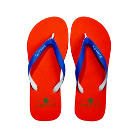 Samba Sol Men's Beach Collection Flip Flops - UF University of Florida